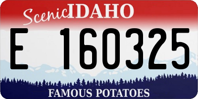 ID license plate E160325