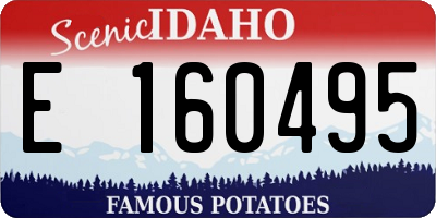 ID license plate E160495