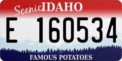 ID license plate E160534