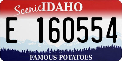 ID license plate E160554