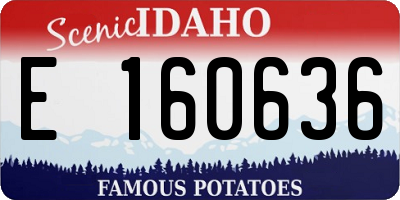 ID license plate E160636