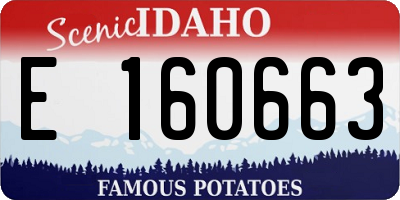 ID license plate E160663