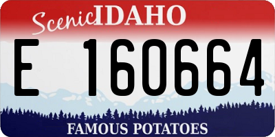 ID license plate E160664
