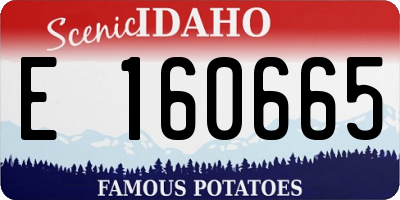 ID license plate E160665