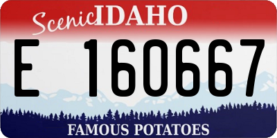ID license plate E160667