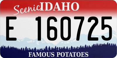 ID license plate E160725