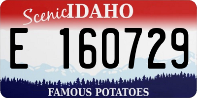 ID license plate E160729
