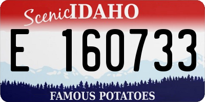 ID license plate E160733