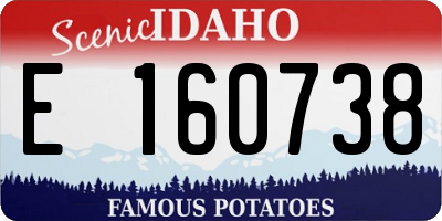 ID license plate E160738
