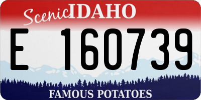 ID license plate E160739