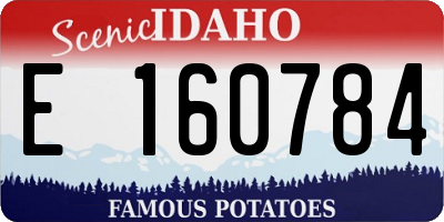 ID license plate E160784