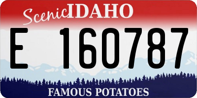 ID license plate E160787