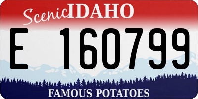 ID license plate E160799