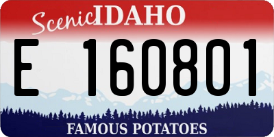ID license plate E160801