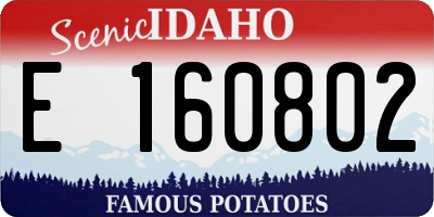 ID license plate E160802