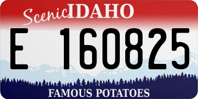 ID license plate E160825