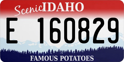 ID license plate E160829