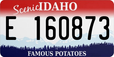 ID license plate E160873