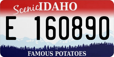 ID license plate E160890