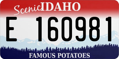 ID license plate E160981