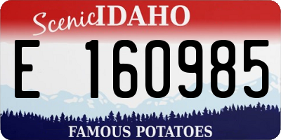 ID license plate E160985