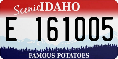 ID license plate E161005