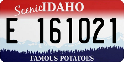 ID license plate E161021