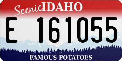ID license plate E161055