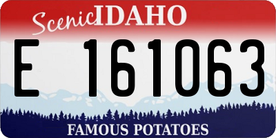 ID license plate E161063