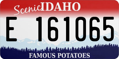 ID license plate E161065