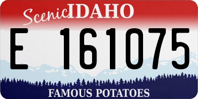 ID license plate E161075