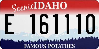 ID license plate E161110