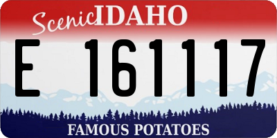 ID license plate E161117
