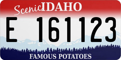 ID license plate E161123