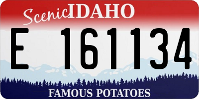 ID license plate E161134