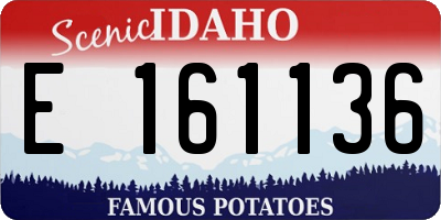 ID license plate E161136