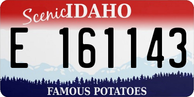ID license plate E161143