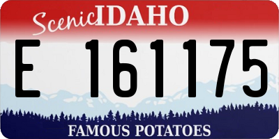 ID license plate E161175