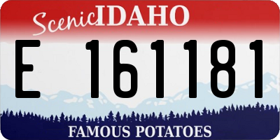 ID license plate E161181