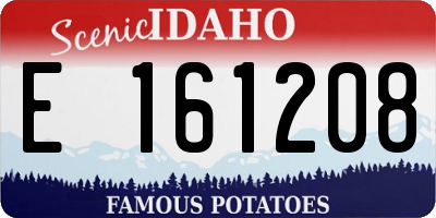 ID license plate E161208