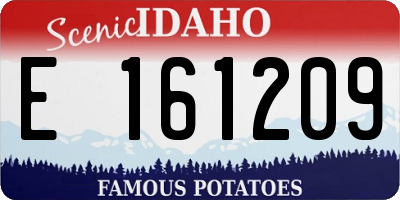 ID license plate E161209