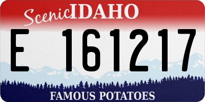ID license plate E161217