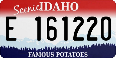 ID license plate E161220