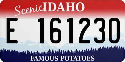 ID license plate E161230