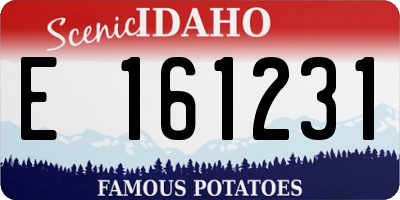 ID license plate E161231