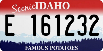 ID license plate E161232