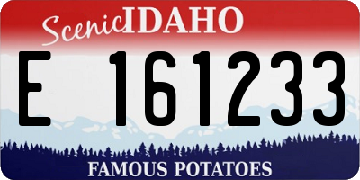 ID license plate E161233