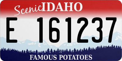 ID license plate E161237