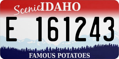 ID license plate E161243