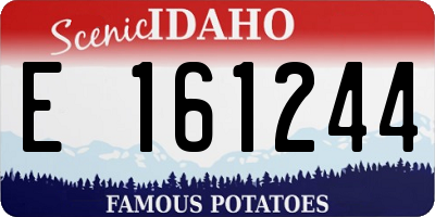 ID license plate E161244